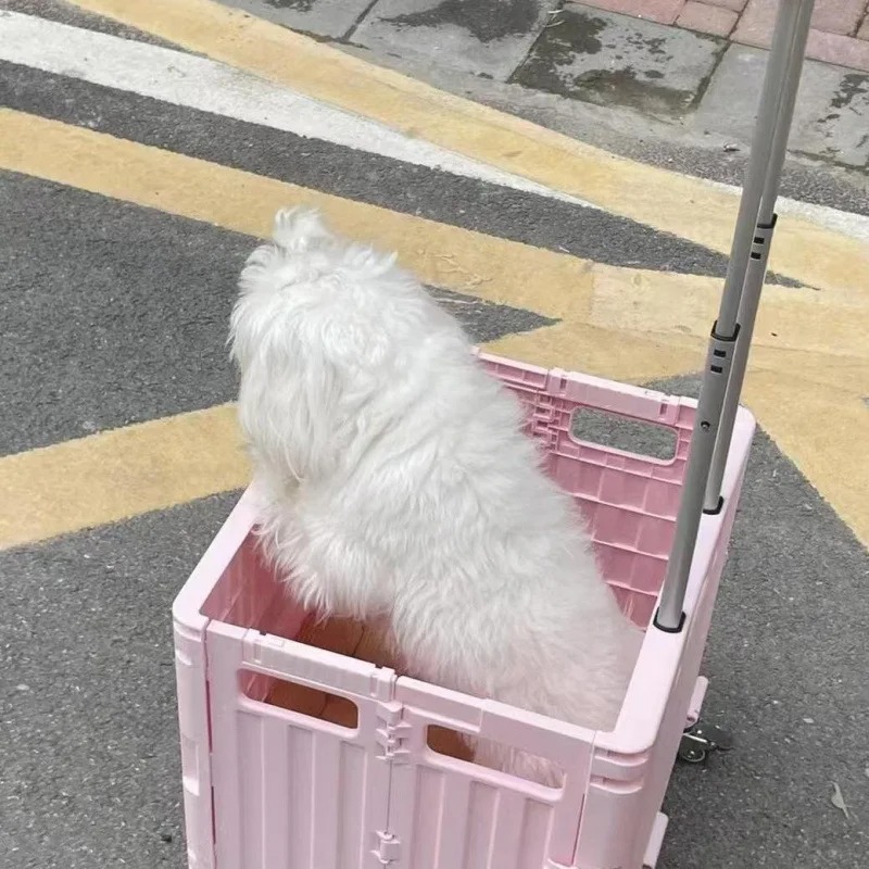 Folding Convenient Supermarket - Outdoor Camping Shop review and price