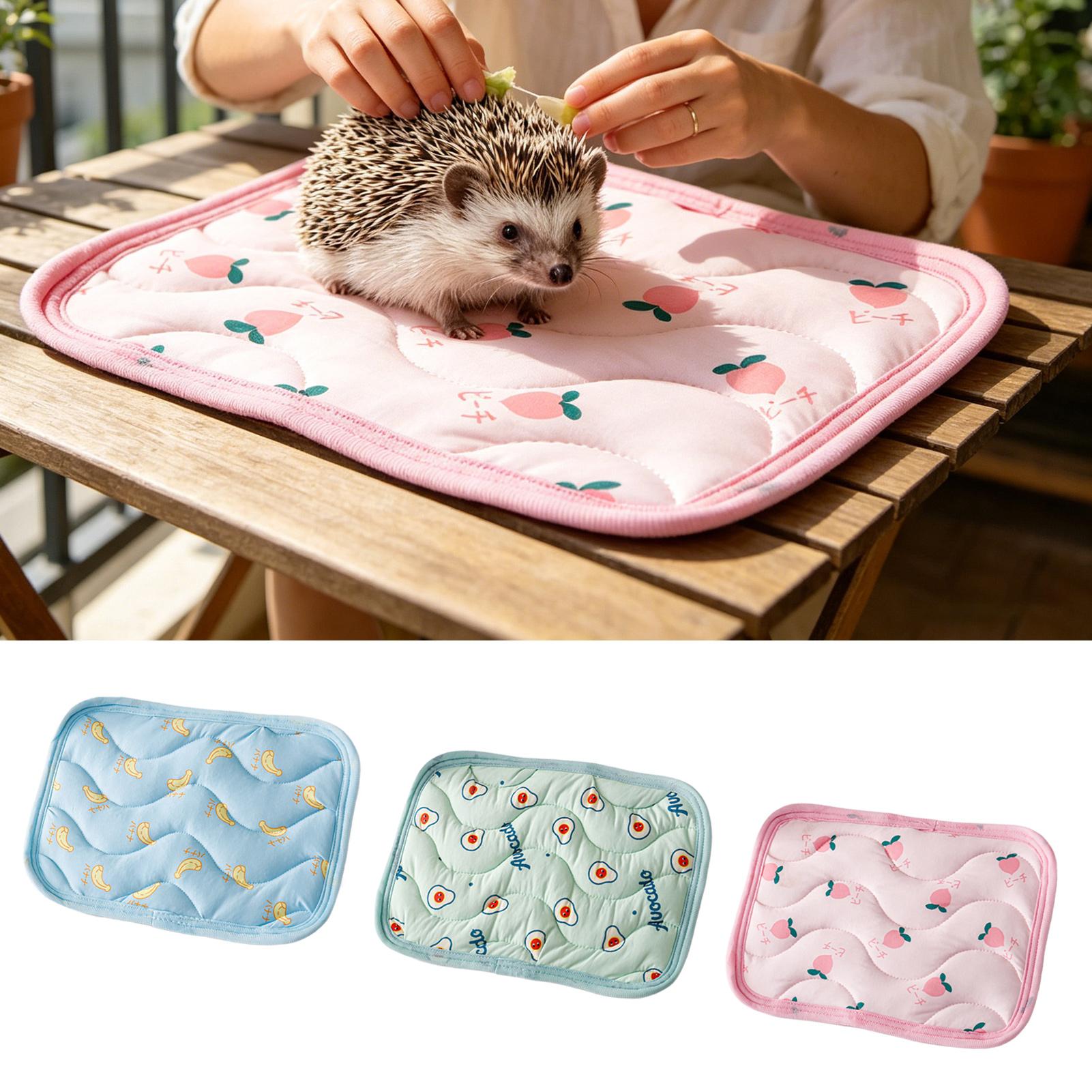 Pet Cooling Mat Washable Small - Outdoor Camping Dog Kennel review and price