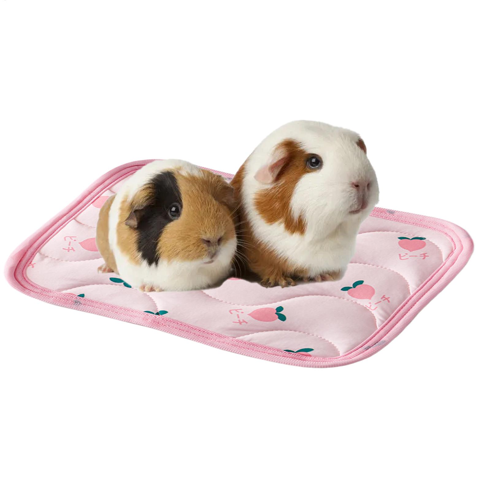 Pet Cooling Mat Washable Small - Outdoor Camping Dog Kennel review and price