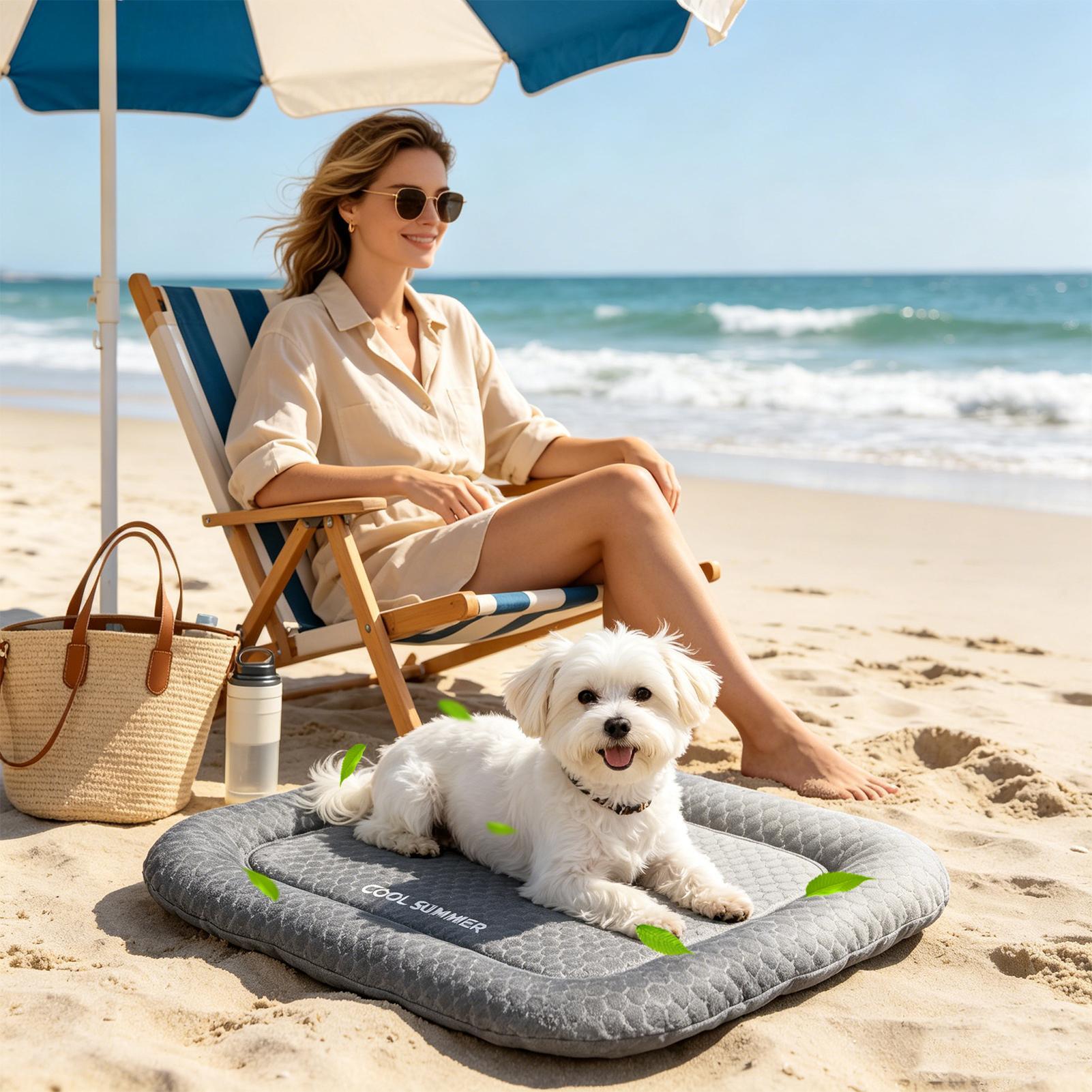 Dog Cooling Mat Portable Non-S - Outdoor Camping Dog Kennel review and price