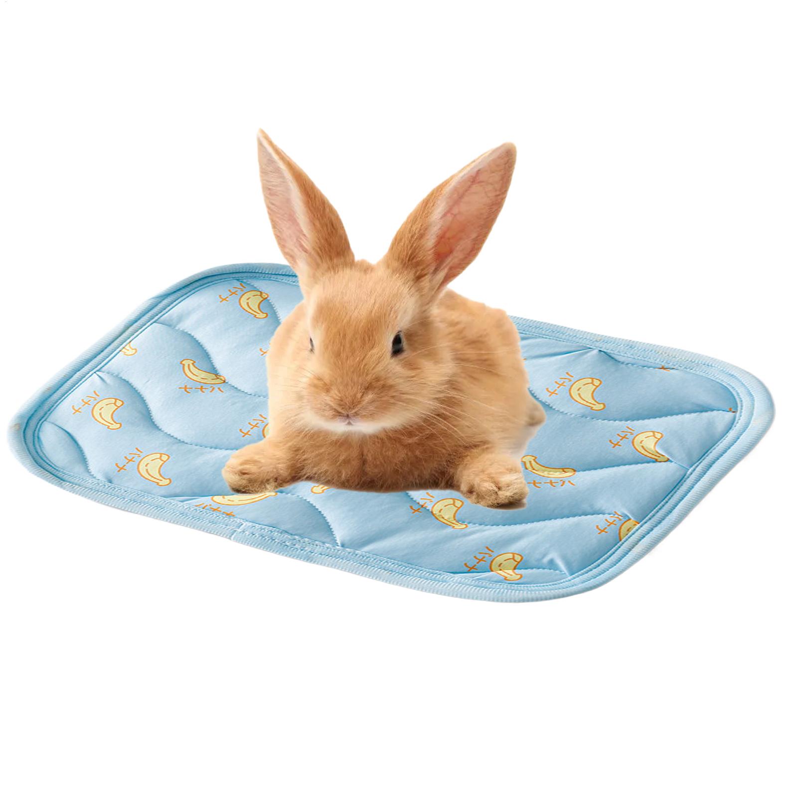 Portable Durable Pet Cooling M - Outdoor Camping Dog Kennel review and price